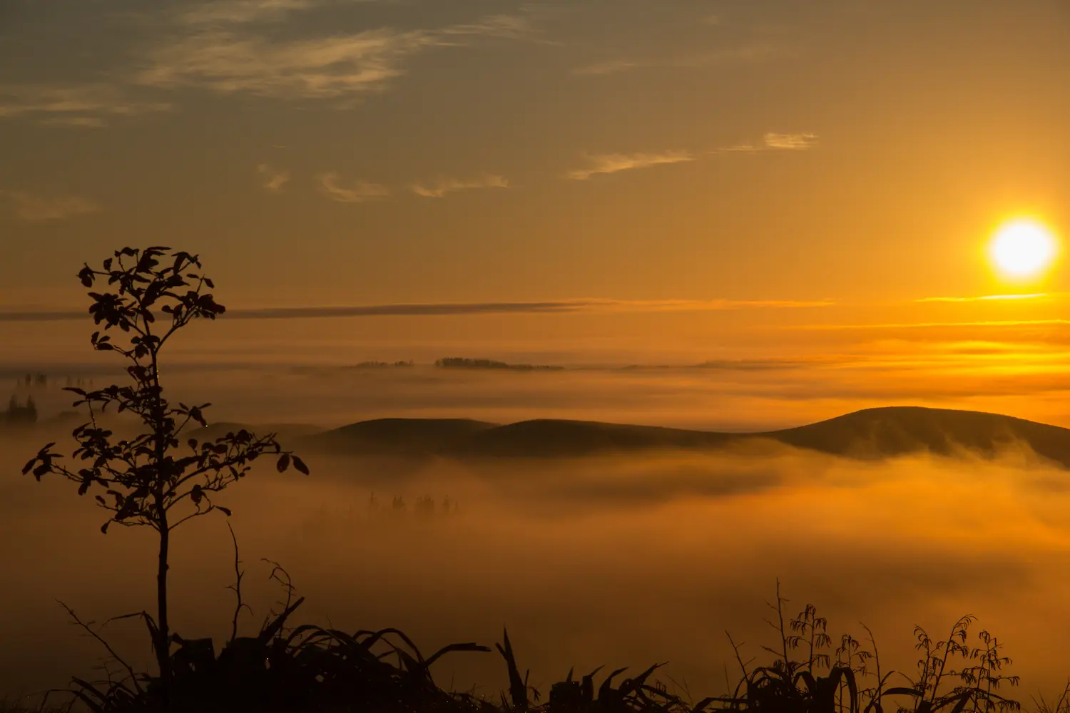 A serene sunrise with fog, representing calm and mental clarity after mindful breathing